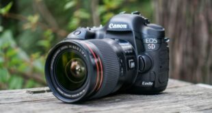 compare dslr camera specifications