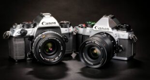 comparing nikon and canon dslr cameras